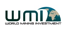 WMI Logo